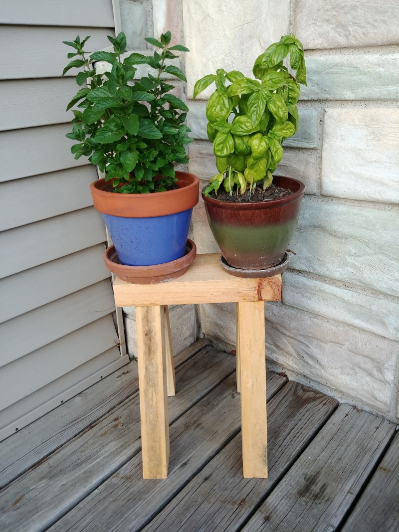 Plant Stand